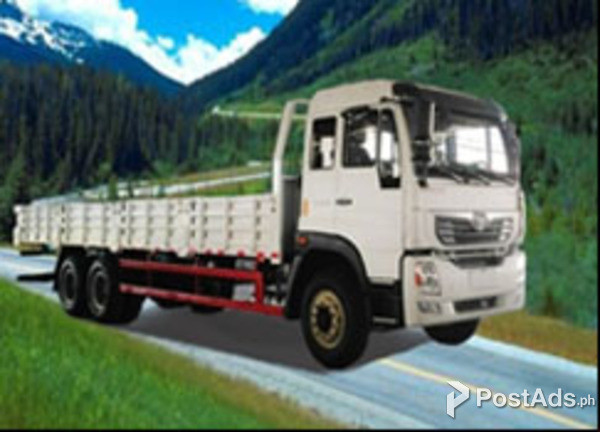 10 Wheeler Cargo Dropside