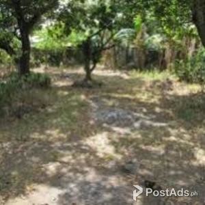 Cielito Homes Subdivision, Caloocan City Residential Lot | PostAds PH