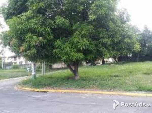 Filinvest Homes II, Don Vicente Ave., Q.C. Residential Lot