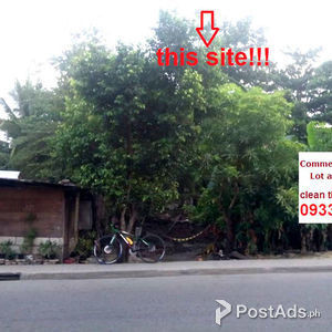Commercial Lot Along the Road in Gun-ob Lapu-lapu City Clean Tittle | PostAds PH