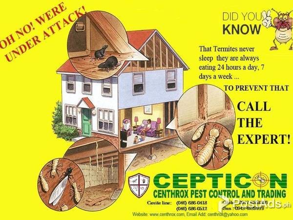 TERMITE AND PEST CONTROL SERVICES & TRADING 