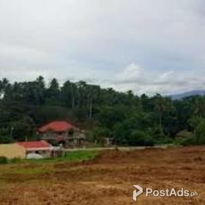 Ligao Prestige Subdivision-Lot only | PostAds PH