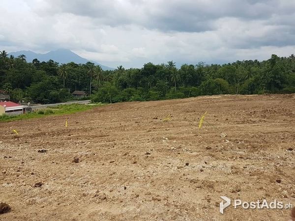 Prestige Lot for Sale in Ligao City