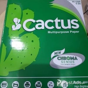 Cactus Bond Paper Subs 20 | PostAds PH