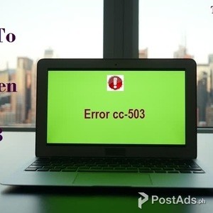 quicken 2017 error cc-501 | PostAds PH