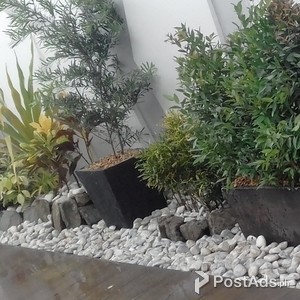 Landscaping and Gardening Services | PostAds PH
