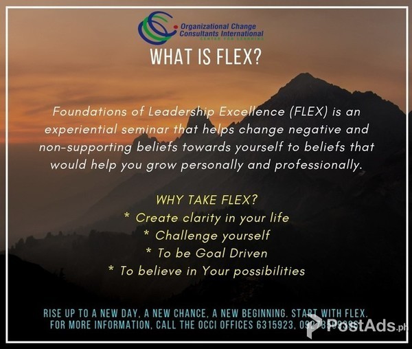 Foundations of Leadership Excellence or FLEX