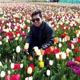 Gel Alonzo