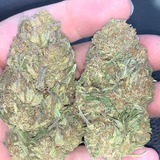 Europe Bud Shop