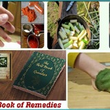 The Lost Book Of Herbal Remedies Review