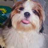 marlo naga
