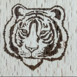 Amit D