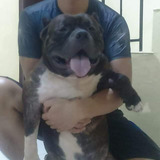 jay ar bernadas