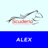 ALEXANDER PERALTA