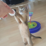 Legit Pets shop