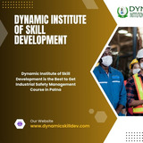 Dynamicskill Development