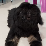 Ethyl Mae Guadalope