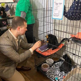 Nene KittenS Shop PH