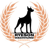Ryeson Wachhund