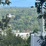 Margarita Pilas