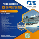 Princess Cruise