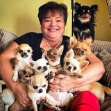 philipines petmarket
